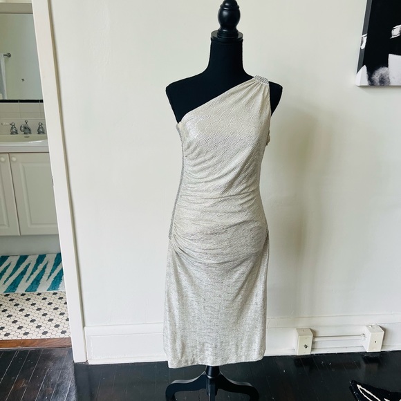 Cache Silver Beaded Asymmetrical Midi Dress - Picture 2 of 11
